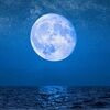 bluemoon09876